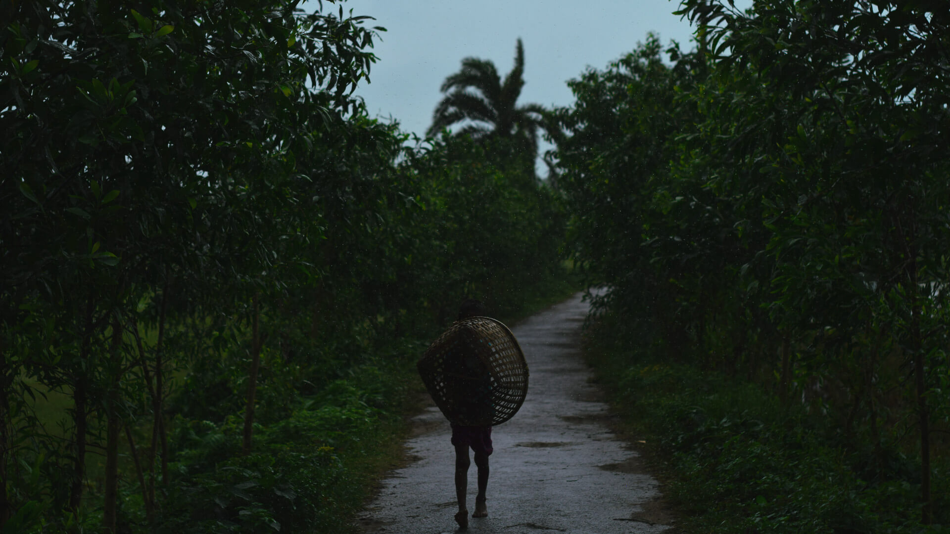 আর সব বৃষ্টির দিন