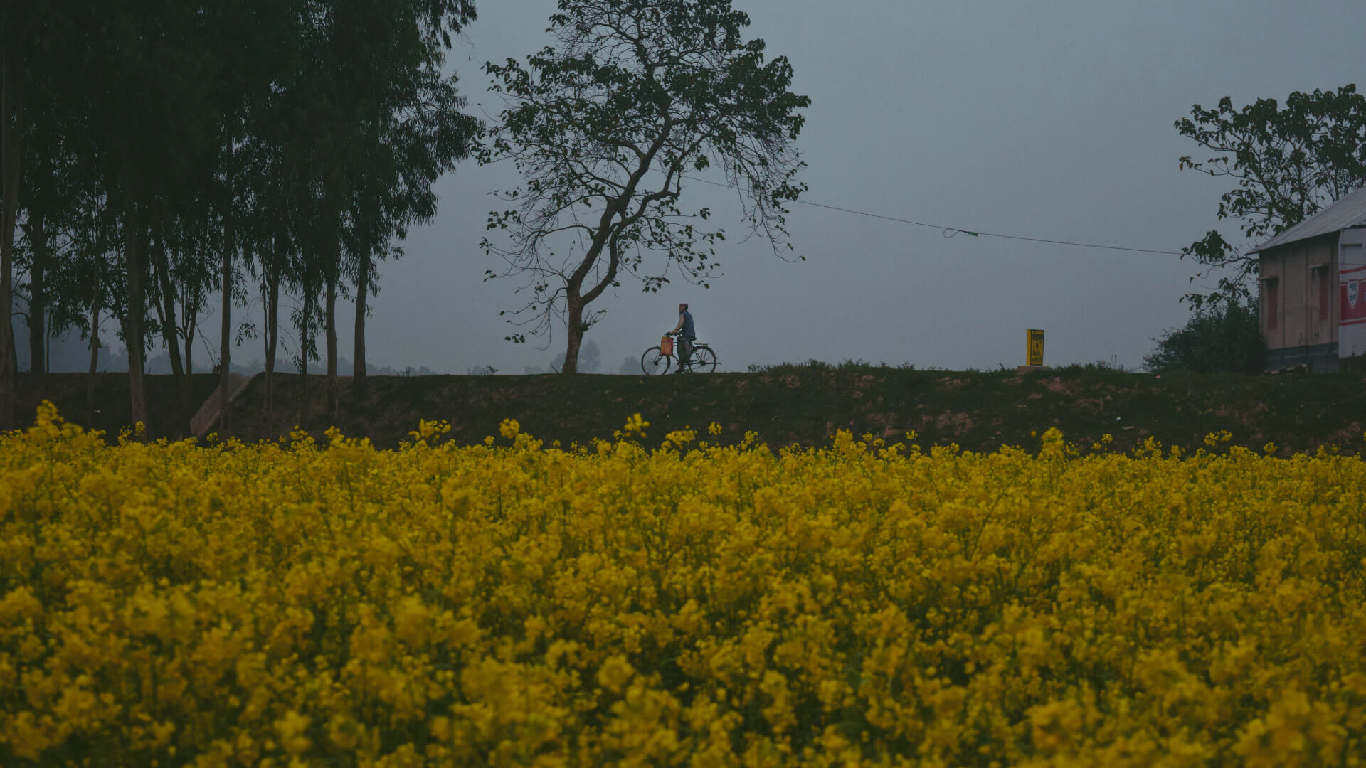 রানার ছুটেছে
