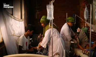 ডেঙ্গুতে ২৪ ঘণ্টায় ৩ জনের মৃত্যু, হাসপাতালে নতুন ভর্তি ৬১৫