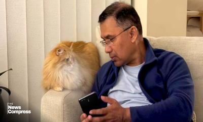 Tarique Rahman‍‍`s pet cat Jebu gets official Facebook page