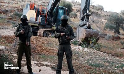 Israel uproots 8,000 trees in West Bank in one week, causing $7m in losses