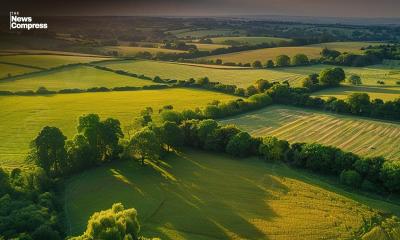 Heavy metals contaminate up to 17 percent of world‍‍`s arable land