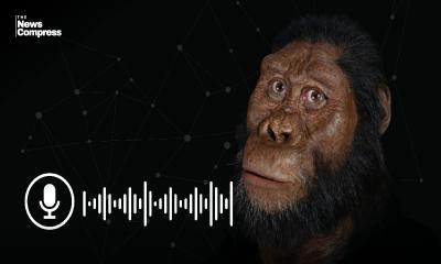 Scientists reconstruct voices of ancient humans from fossils
