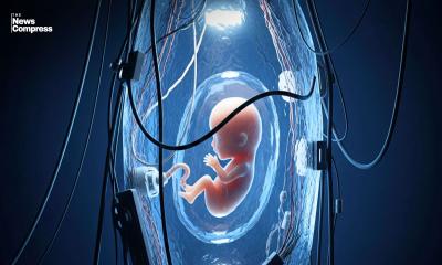 Japan introduces the world’s first artificial womb, allowing embryos to develop outside the human body