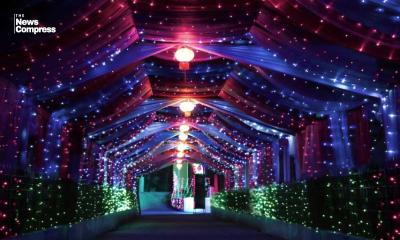 GOVERNMENT BANS DECORATIVE  LIGHTING AT WEDDINGS AND SOCIAL  EVENTS