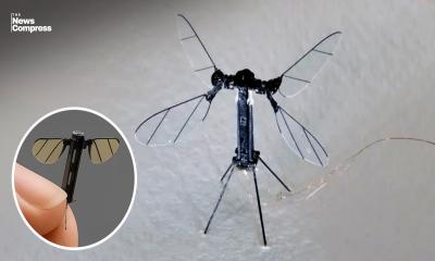 মশা আকৃতির সামরিক নজরদারি ড্রোন তৈরি করল চীন