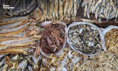 Research finds pesticides in 13 percent of dried-fish samples