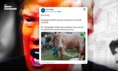 Iran mocks Trump over Bangladesh‍‍`s viral ‍‍`Trump‍‍` buffalo