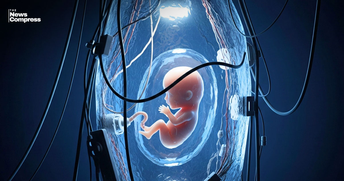 Japan introduces the world’s first artificial womb, allowing embryos to develop outside the human body